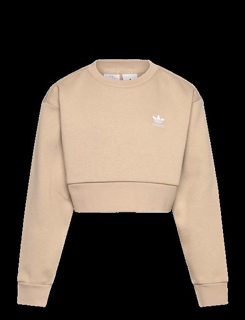 adidas Originals | Boxy Crew | 164
