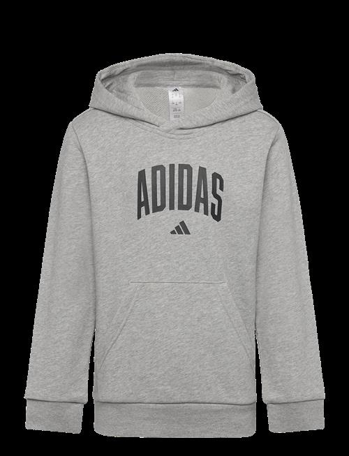 adidas Sportswear | J Colleg Hd | 128