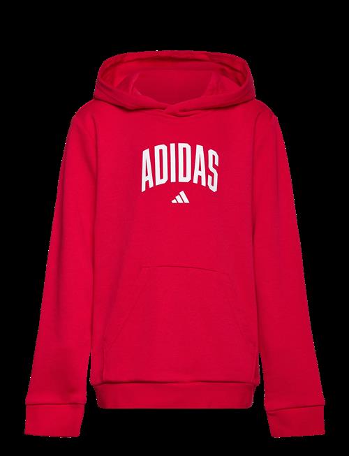 adidas Sportswear | J Colleg Hd | 140