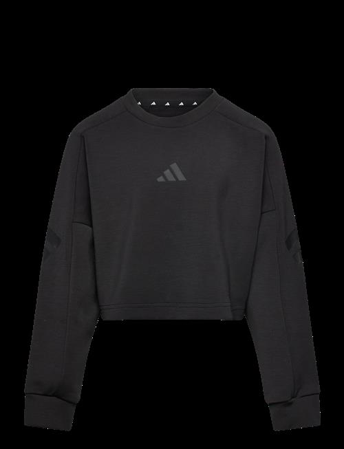 adidas Sportswear | Jg Fi 3S Crew | 116