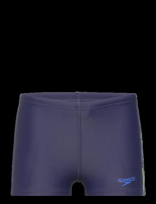 Speedo | Placement Aquashort | 176