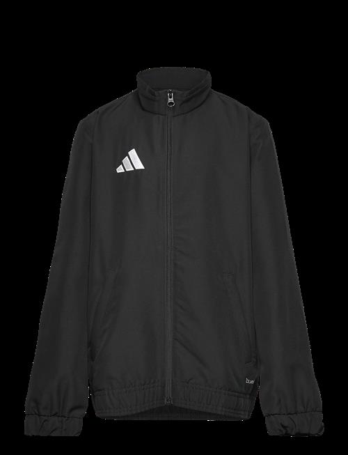 adidas Performance | Ent26 Prejkty | 116