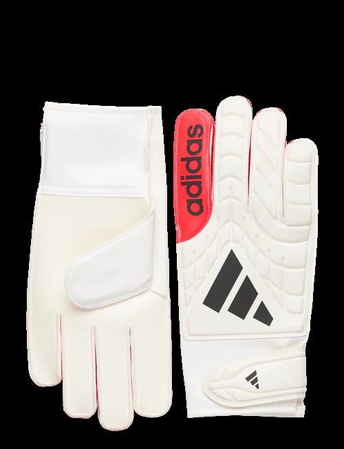 adidas Performance | Copa Gl Clb | 7.5
