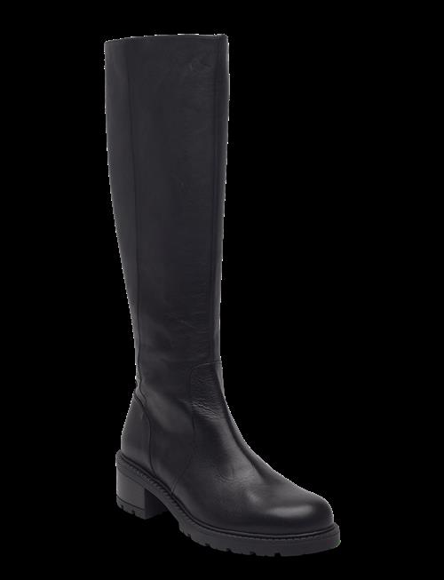 Wonders | Evoclub 20 | 41