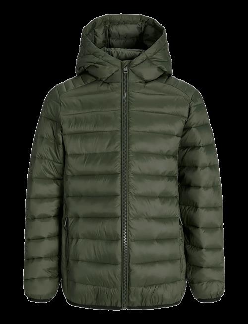 Jack & Jones | Jjebradley Light Puffer Hood Jnr | 152