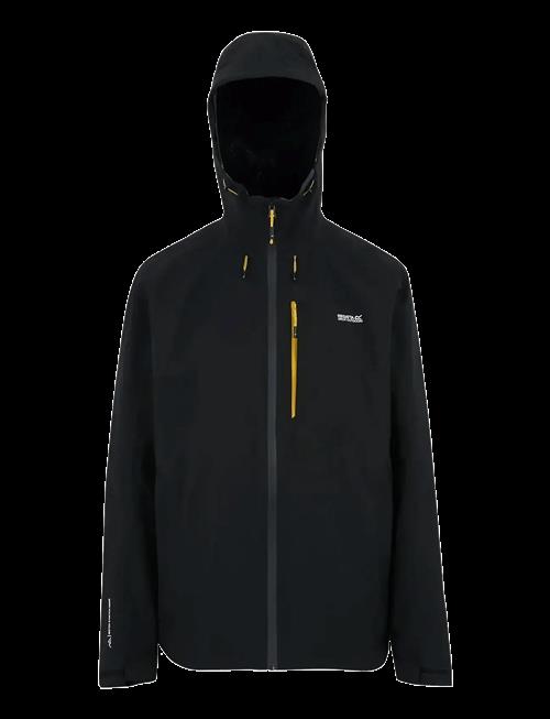 Regatta | Birchdaleii | M