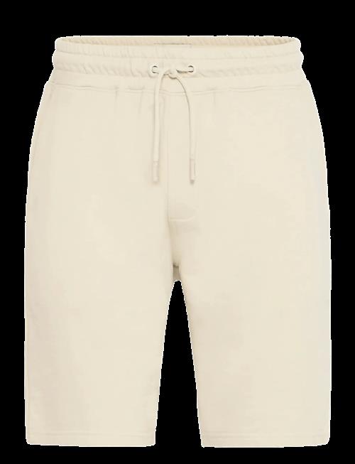 Blend | Bhbrody Shorts | XL