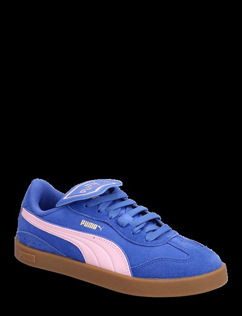 PUMA | Puma Club Azura Sd | 37.5