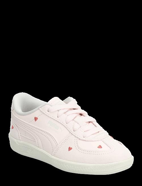 PUMA | Palermo Amor Ps | 34