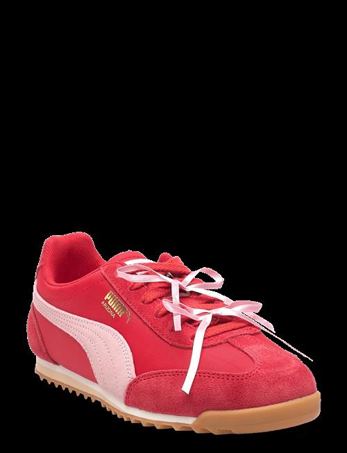 PUMA | Arizona Bow Wns | 38