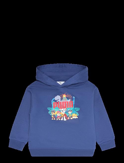 PUMA | Puma X Paw Patrol Graphic Hoodie Tr | 104