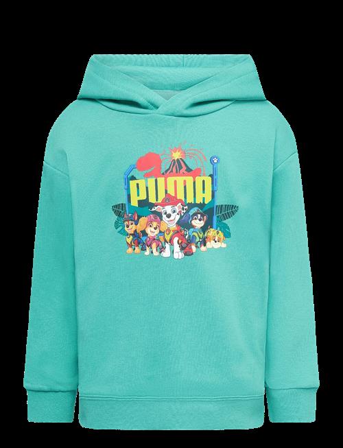 PUMA | Puma X Paw Patrol Graphic Hoodie Tr | 116