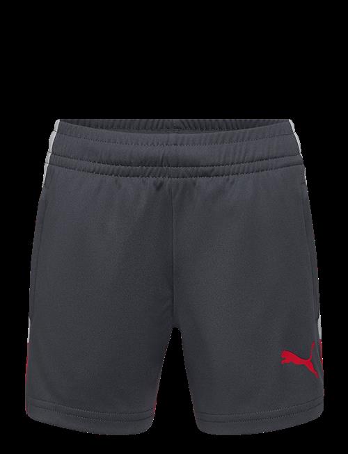 PUMA | Individualliga Training Shorts Jr | 176