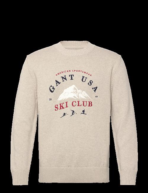 Gant | Embroidered Graphic C-Neck | XL