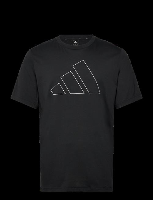 adidas Performance | We Fr Bl T | XL