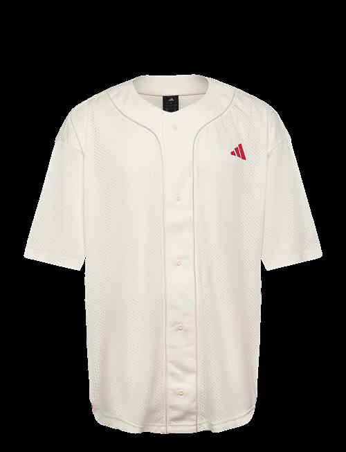 adidas Sportswear | M Sta Seas Shrt | XL