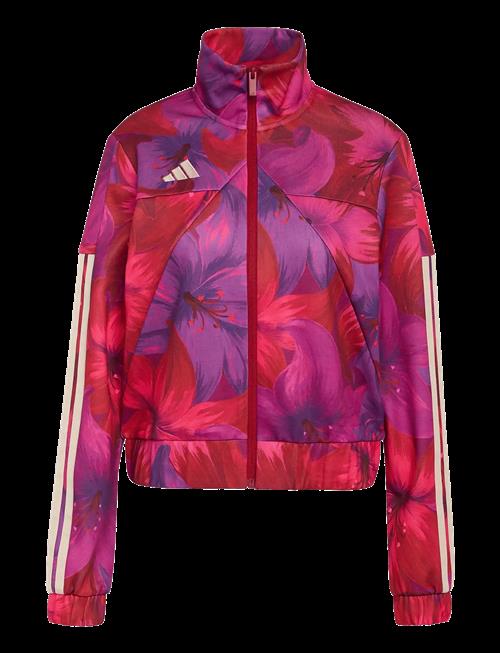 adidas Sportswear | Farm Tiro Tt | XS