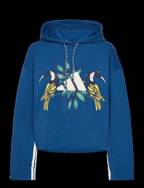 adidas Sportswear | Farm Hoodie | S