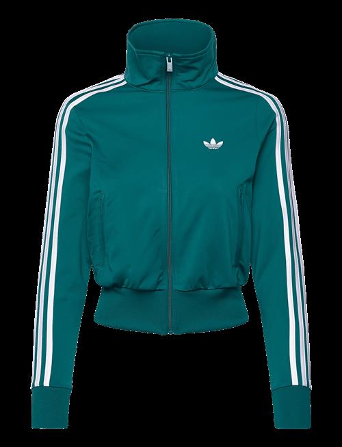 adidas Originals | Firebird Classic Tt_ | L