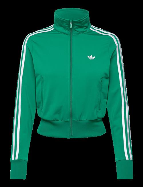 adidas Originals | Firebird Classic Tt_ | S