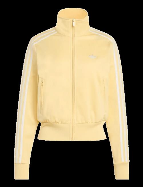 adidas Originals | Firebird Classic Tt_ | XS