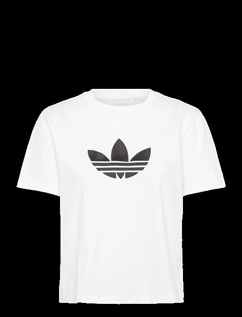 adidas Originals | Trefoil Boxy T | XL