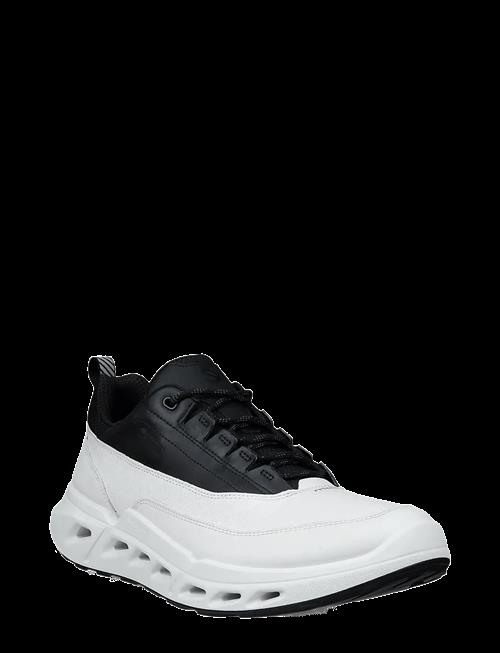 ECCO | Biom 720 M | 47