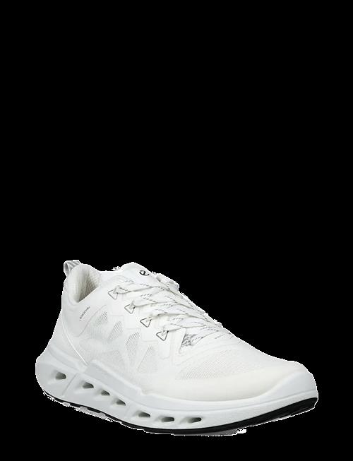 ECCO | Biom 720 W | 39
