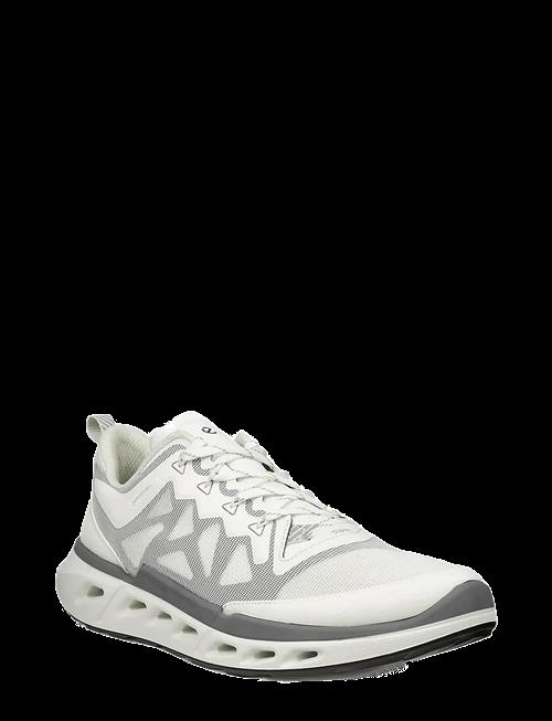 ECCO | Biom 720 M | 46
