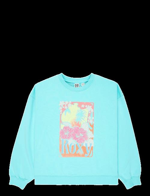 Roxy | Lineup Crew Rg Terry | 152