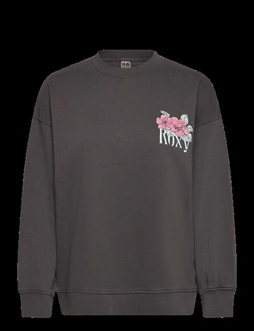 Roxy | Lineup Terry | M