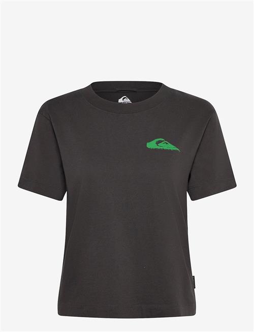 Quiksilver | Standard Ss Tee | M