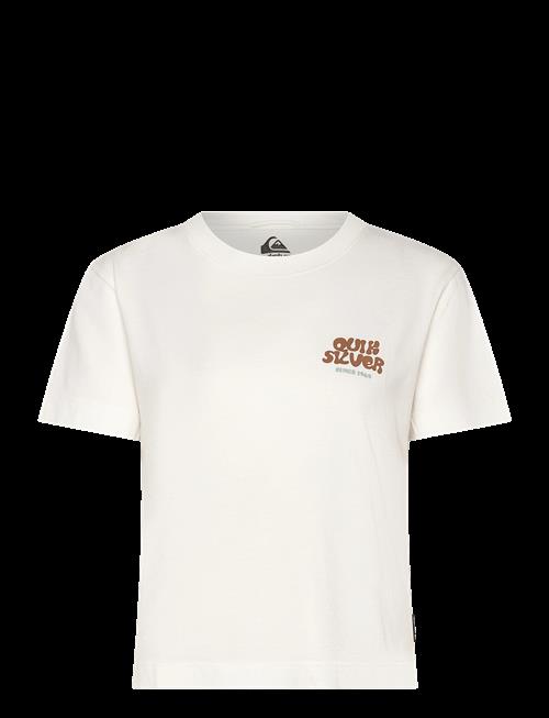 Quiksilver | Standard Ss Tee | S