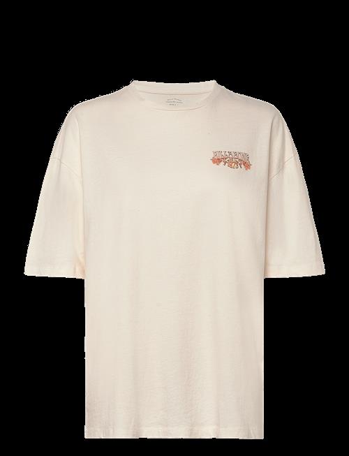 Billabong | Waterfall | M