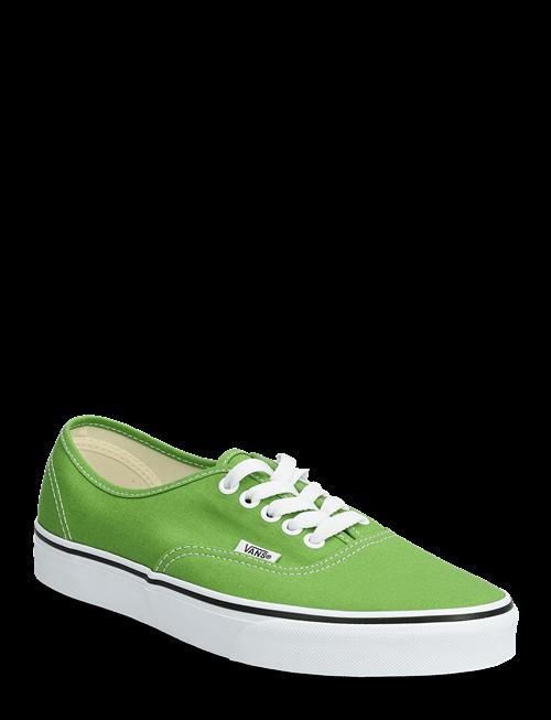 VANS | Authentic | 42.5
