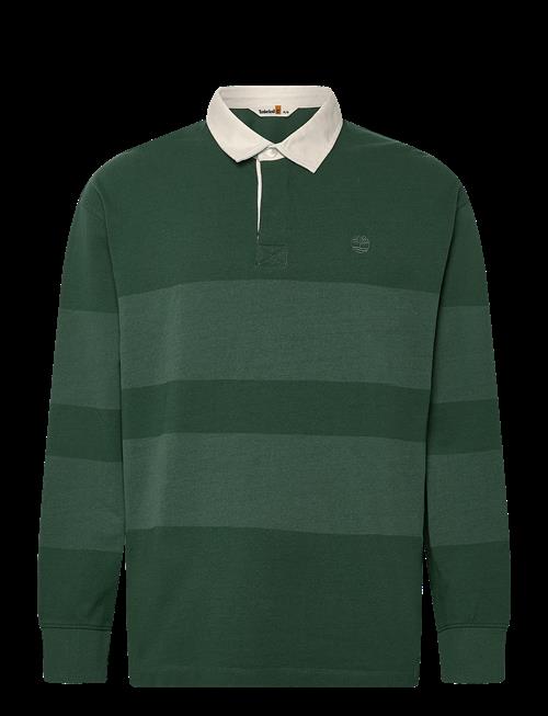 Timberland | Ls Striped Rugby Polo Pineneedle | XXL