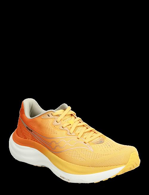 Saucony | Ride 19 | 47