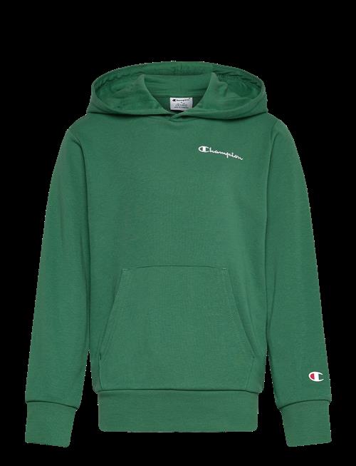 Champion | Hooded Sweatshirt | 176