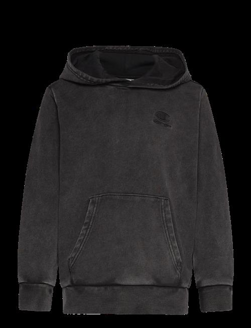 Champion | Hooded Sweatshirt | 164