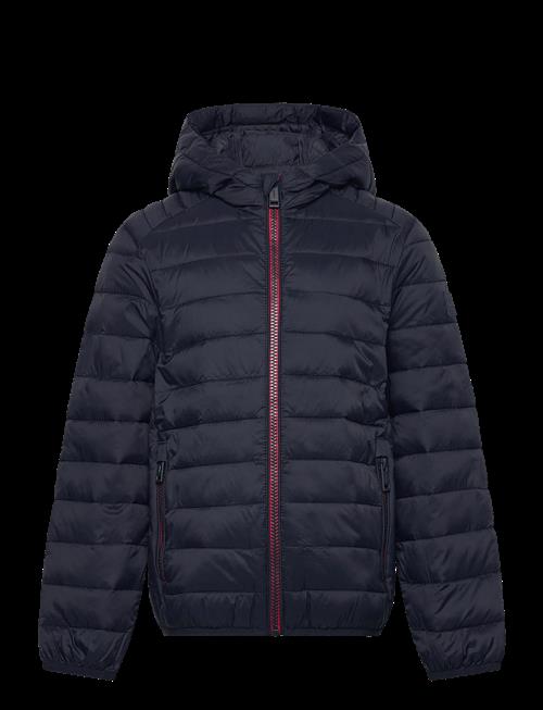 Jack & Jones | Jjebradley Light Puffer Hood Mni | 116