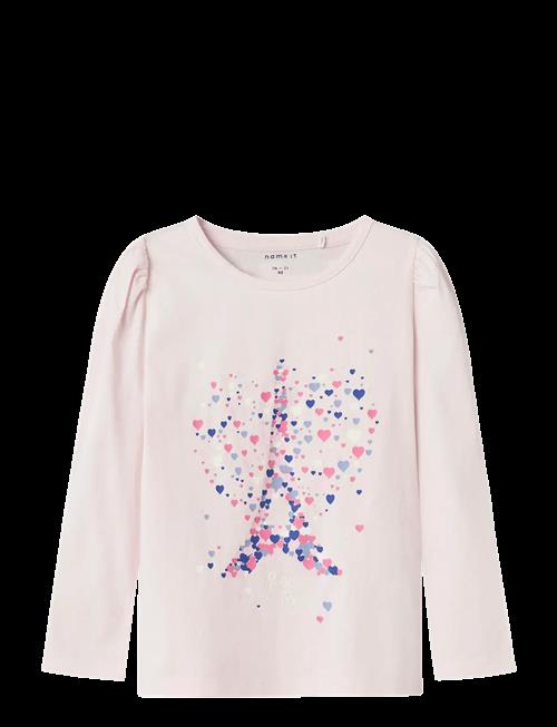 name it | Nmfollia Ls Top Pb | 98