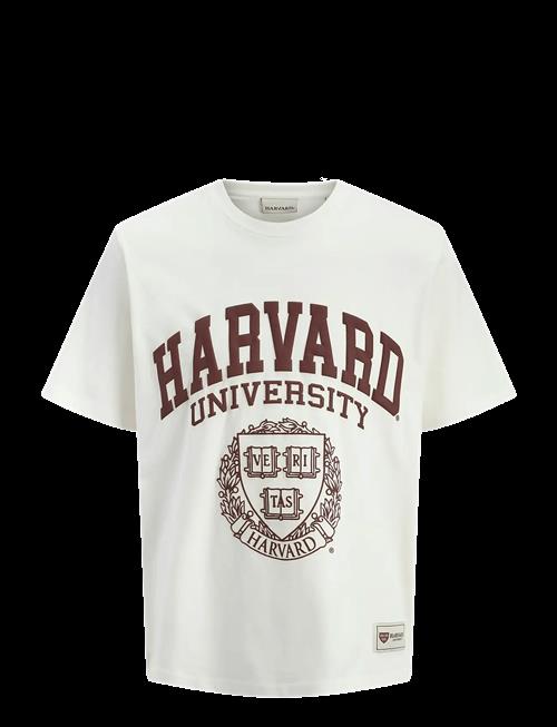 Jack & Jones | Jorharvard Tee Ss C.n Styd Ss25 | M
