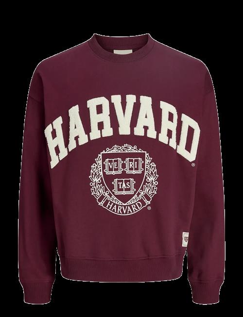 Jack & Jones | Jorharvard Sweat C.n Styd Ss25 | L