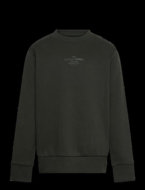 Jack & Jones | Jjjin Sweat Crew Neck Jnr | 176