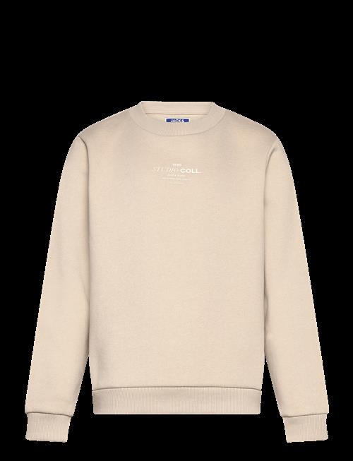 Jack & Jones | Jjjin Sweat Crew Neck Mni | 116