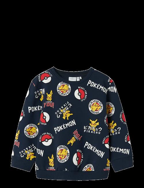 name it | Nmmsilo Pokemon Nreg Sweat Bru Sky | 98