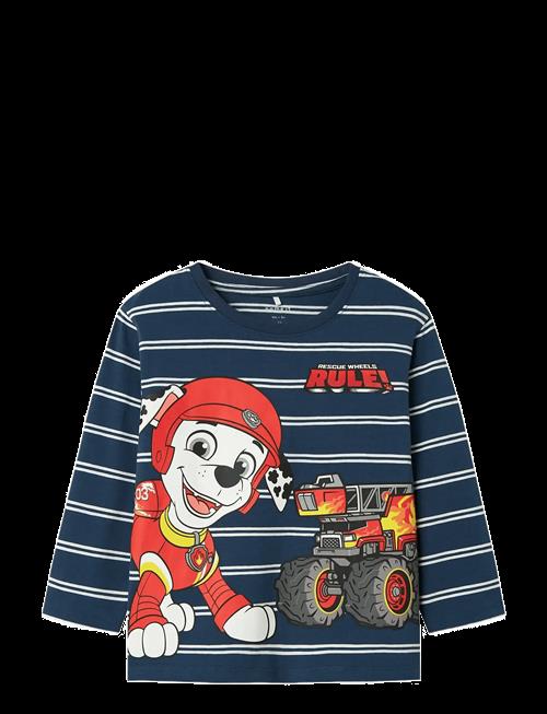 name it | Nmmsofus Paw Ls Nreg Top Box Cplg | 98