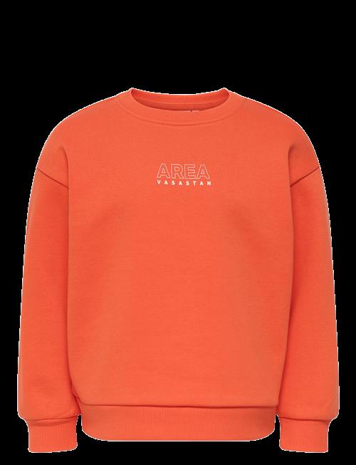 Kids Only | Kmgzenja Life L/S Boxy Pullover Bru Swt | 104