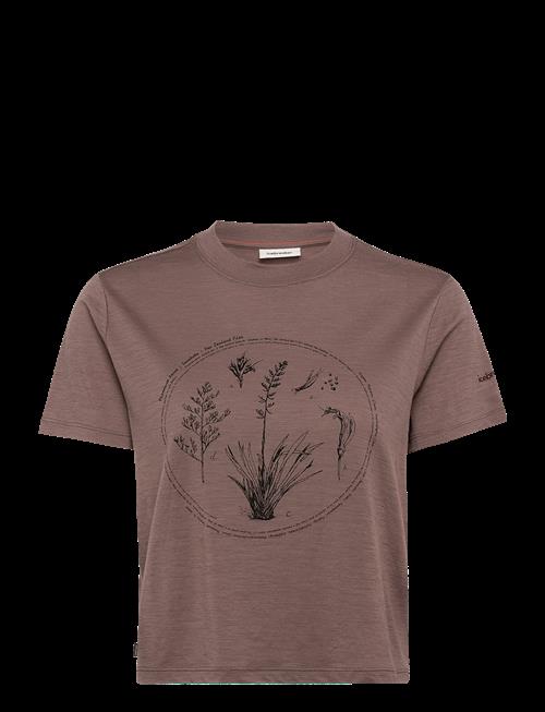 Icebreaker | W Mer 150 Tech Lite Ss Crop T Seed Stor | M