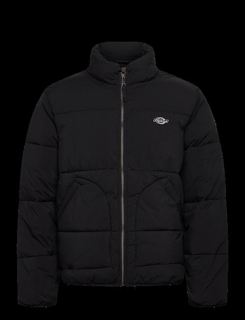 Dickies | M Summerdale Puffer | XS
